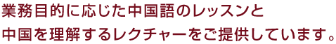 業務目的に応じた中国語のレッスンと中国を理解するレクチャーをご提供しています。